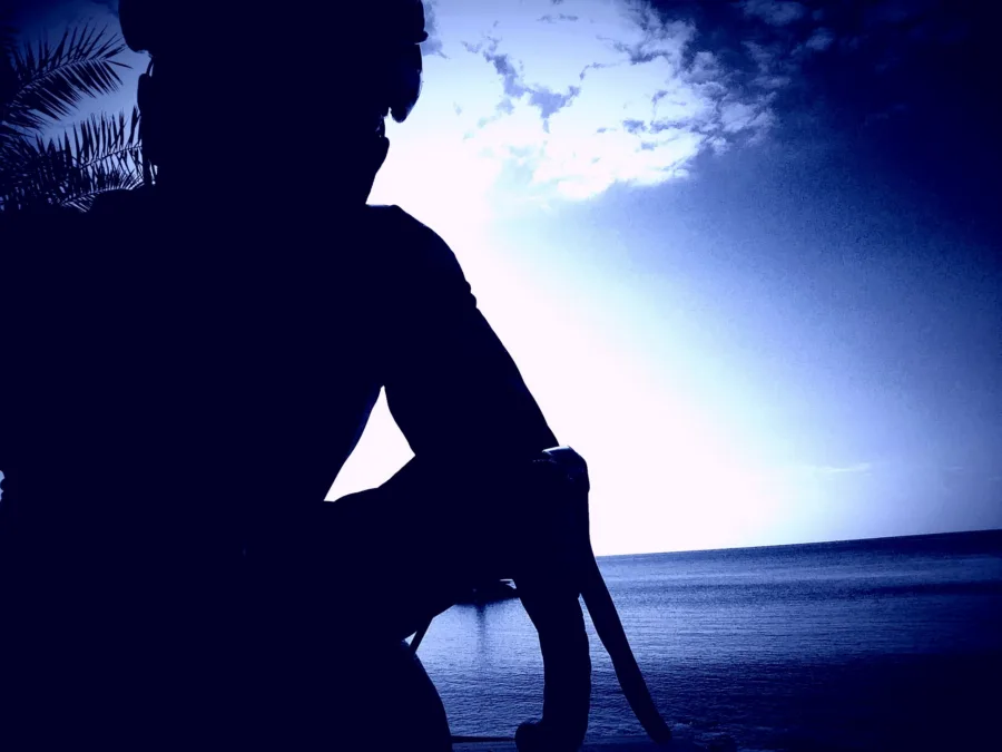 A rider in dark silhouette against the sea and a bright sky, palm fronds overhead