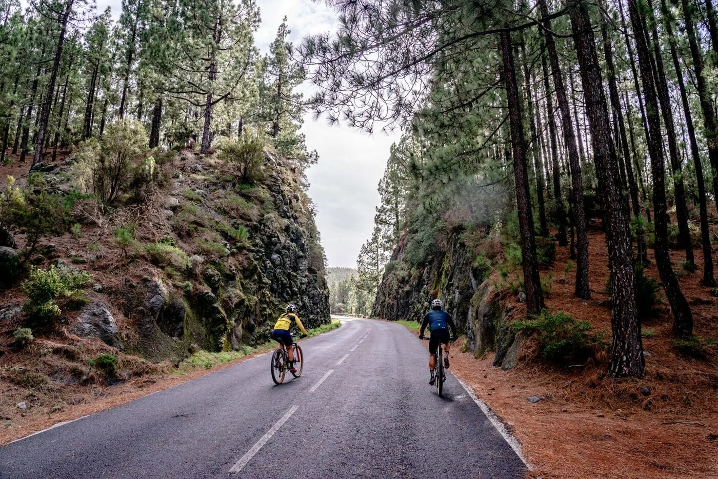 Climbing the Troodos Mountains by Bike