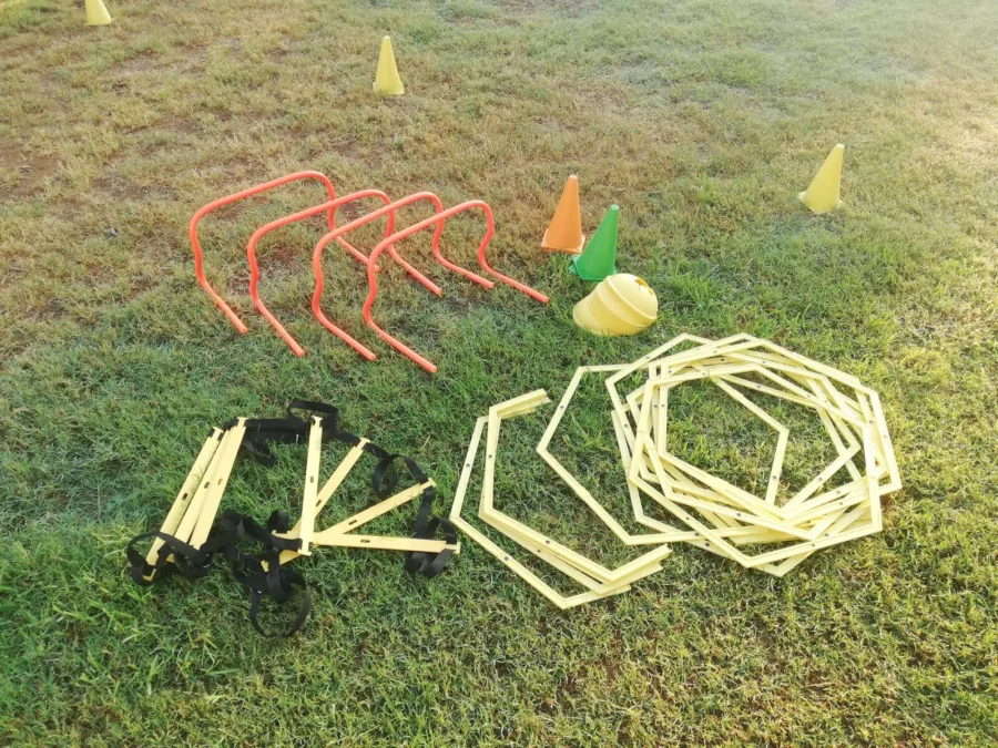 Agility hurdles, rings and a ladder laid out on grass before a session