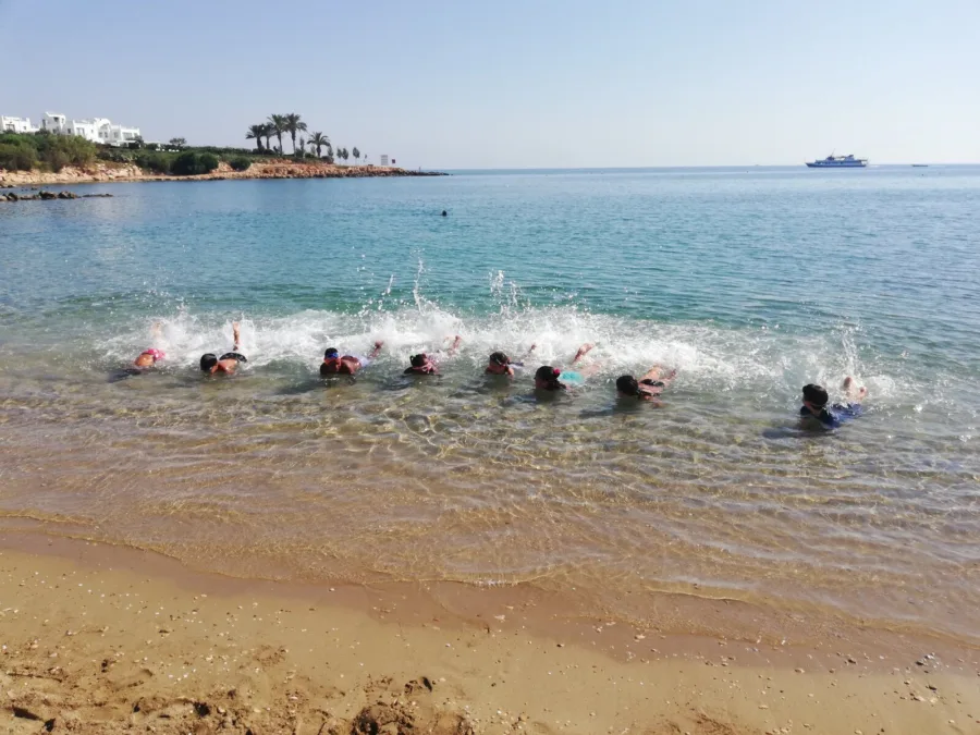A line of swimmers setting off from the beach into calm sea