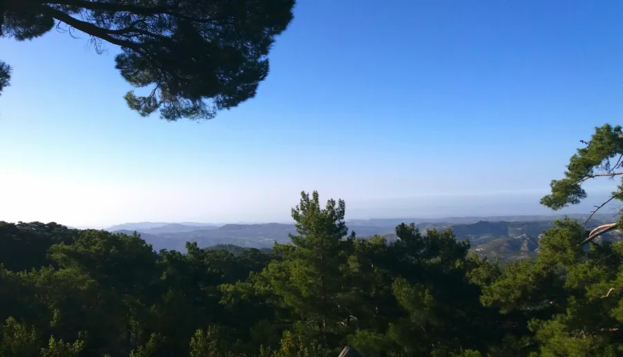 A view out over wooded ridges falling away to a hazy plain, framed by pine branches