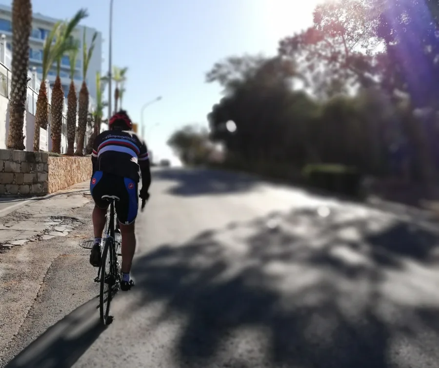 A rider climbing a shaded street past a row of palm trees, low sun flaring through the leaves