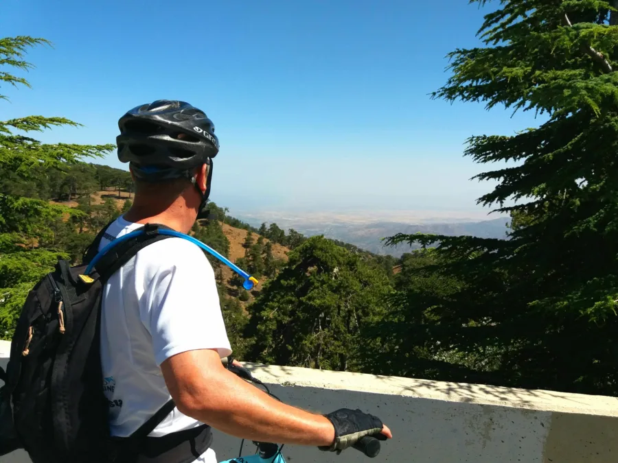 A rider at a low wall looking out over cedars to the plain far below