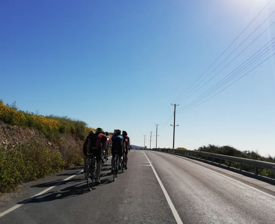 A group riding single file past a bank of yellow flowers under power lines and a deep blue sky
