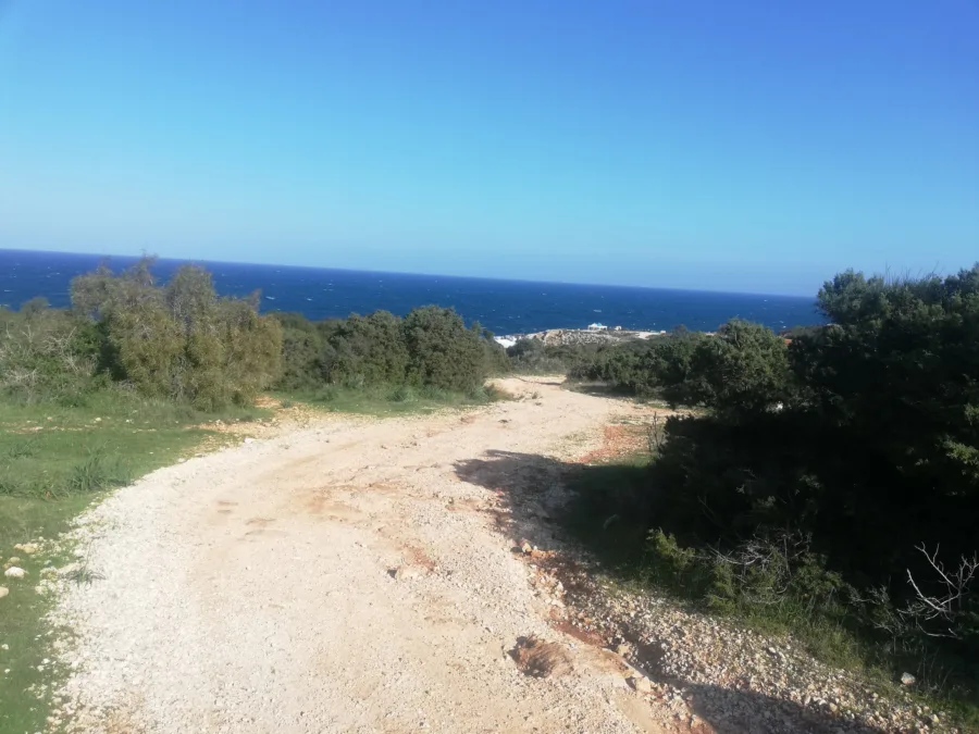 A wide gravel track running downhill between low bushes to the open blue sea