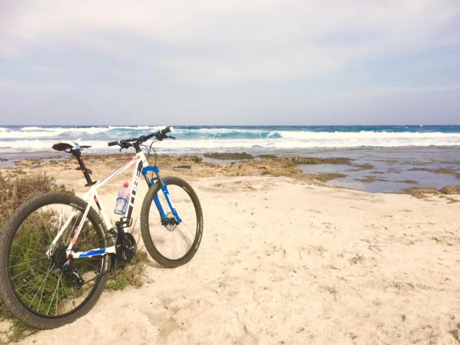 A mountain bike propped up on a sandy beach with the sea behind