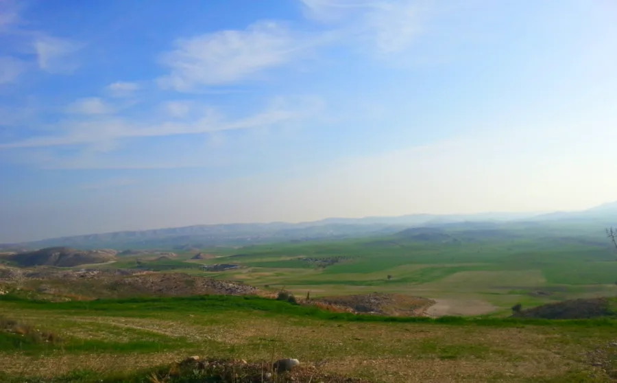 Rolling green farmland under a wide sky, seen from the roadside