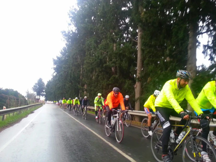A large group of riders in hi-vis jackets riding on a wet road under trees