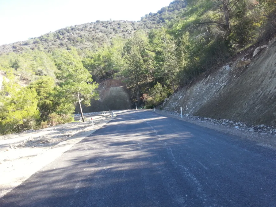 A road curving between a rock cutting and a wooded slope