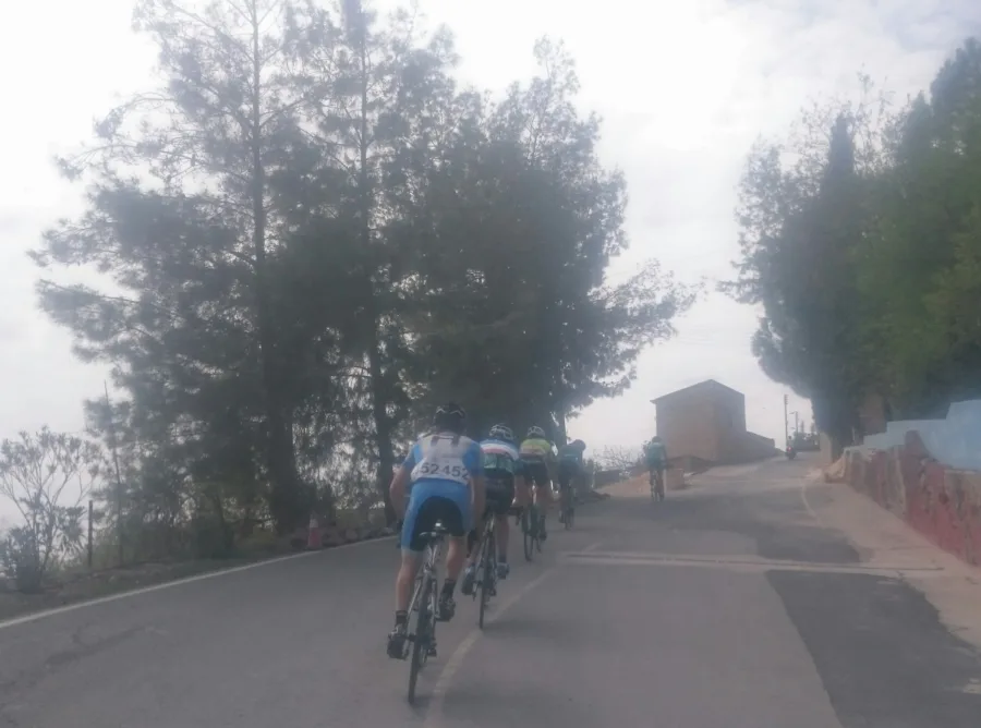 Riders on a road disappearing into low mist under trees