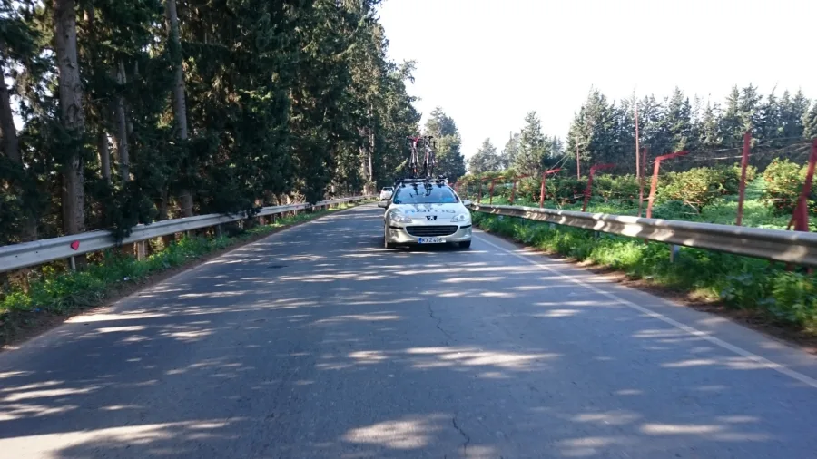 A straight road lined with trees, the team car following riders