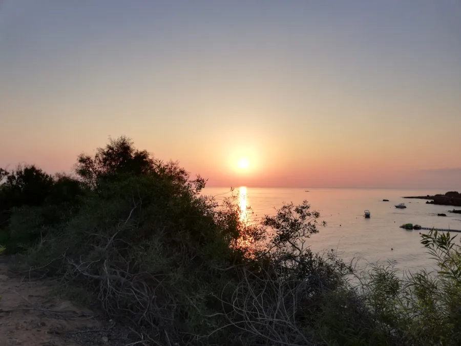 The sun rising over the sea seen through a tangle of branches