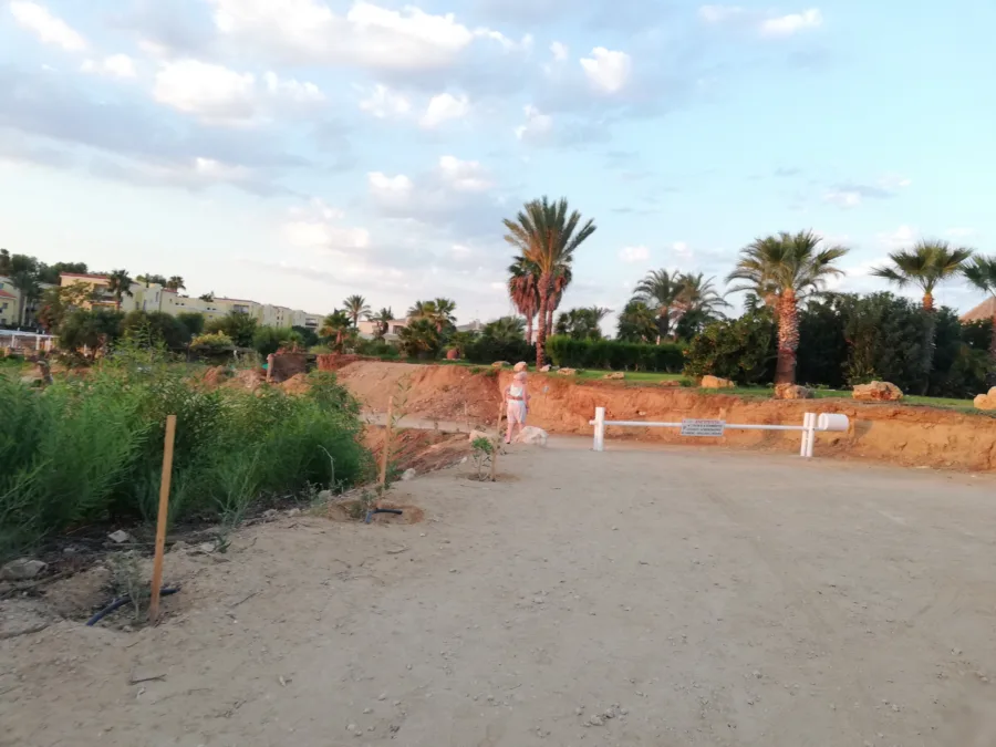 A sandy path running through scrub down towards the sea