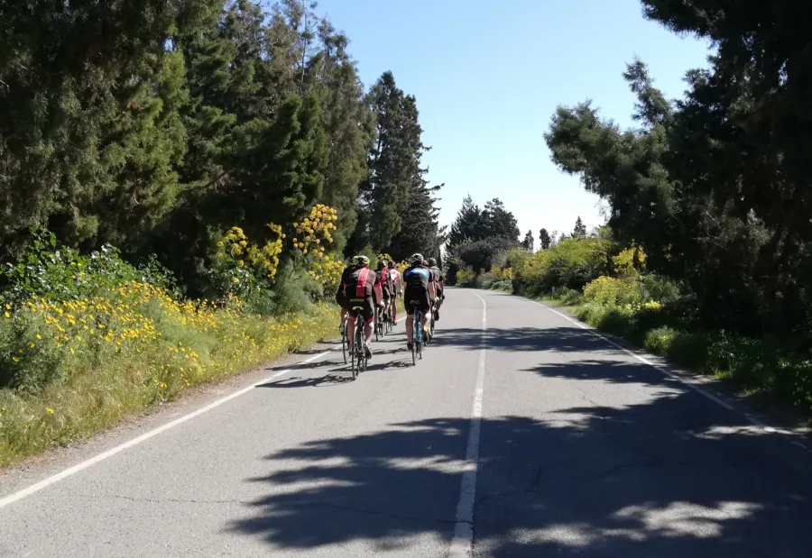 Riders on a quiet road running through green countryside