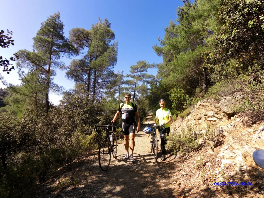 Riders pushing their bikes up a steep forest track