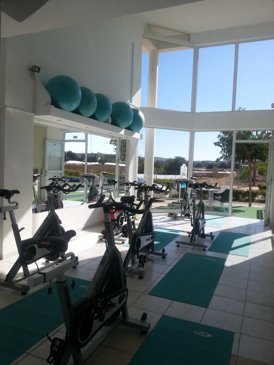 Spin bikes in rows in a bright studio, exercise balls on a shelf and gardens through the windows